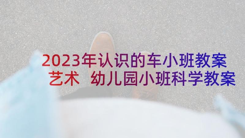 2023年认识的车小班教案艺术 幼儿园小班科学教案认识蚯蚓含反思(实用10篇)