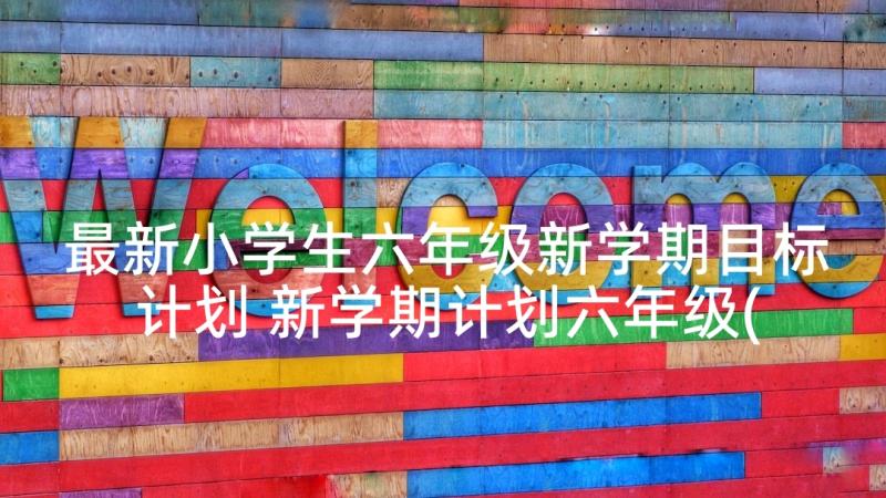 最新小学生六年级新学期目标计划 新学期计划六年级(优秀5篇)