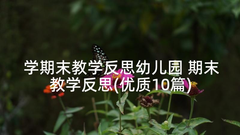 学期末教学反思幼儿园 期末教学反思(优质10篇)