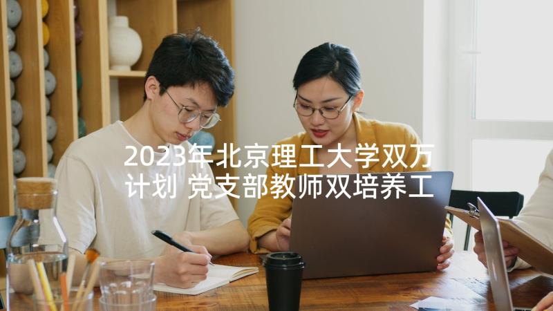 2023年北京理工大学双万计划 党支部教师双培养工作计划十(通用5篇)