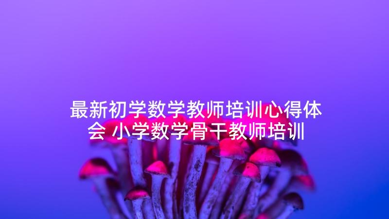 最新初学数学教师培训心得体会 小学数学骨干教师培训心得体会(实用5篇)