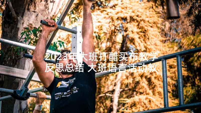 2023年大班打醋买布教学反思总结 大班语言活动教案打醋买布(实用5篇)