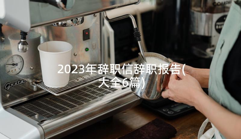 2023年辞职信辞职报告(大全6篇)