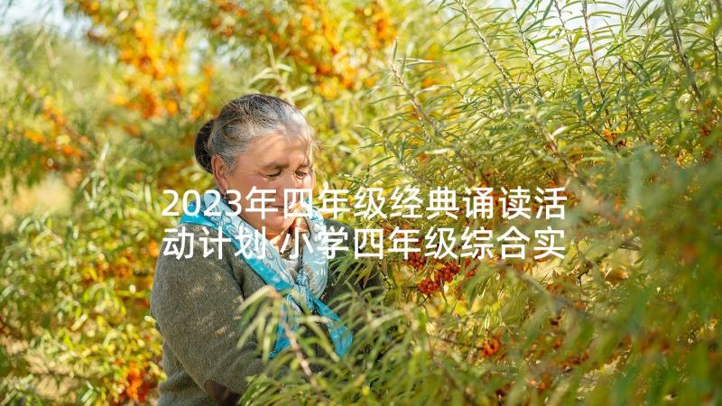 2023年四年级经典诵读活动计划 小学四年级综合实践活动计划(大全5篇)