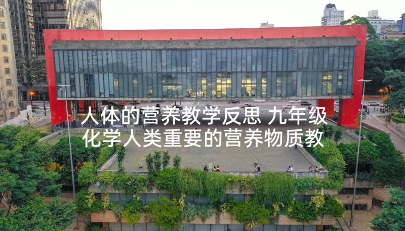 人体的营养教学反思 九年级化学人类重要的营养物质教学反思(大全5篇)