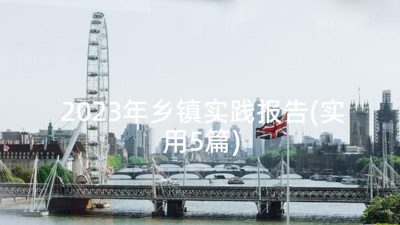 2023年乡镇实践报告(实用5篇)