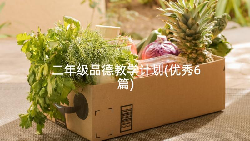 二年级品德教学计划(优秀6篇)