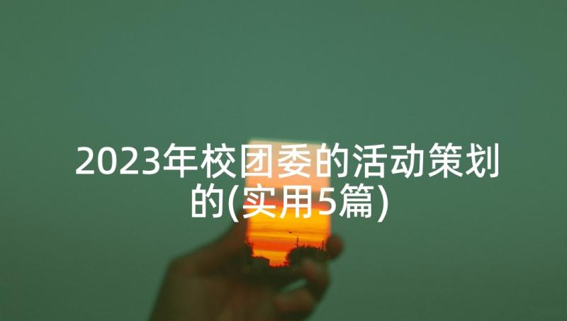 2023年校团委的活动策划的(实用5篇)