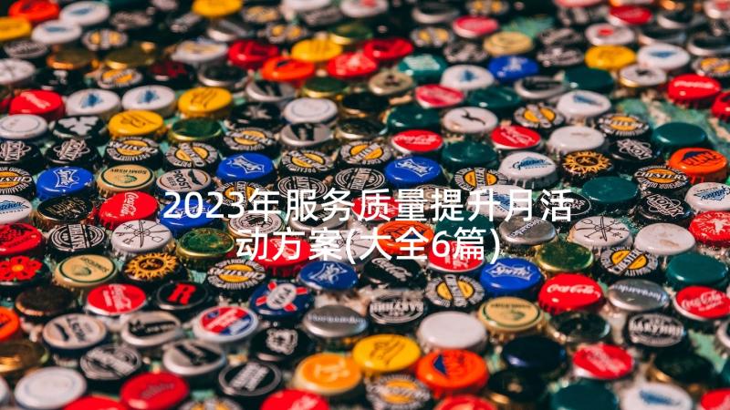 2023年服务质量提升月活动方案(大全6篇)