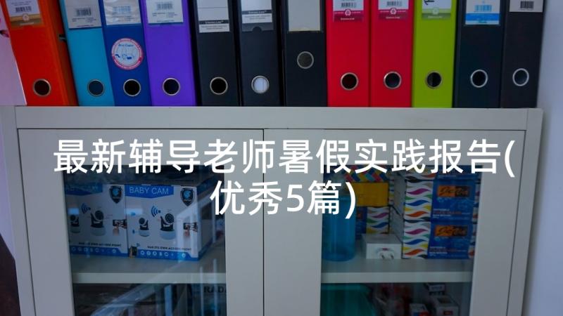 最新辅导老师暑假实践报告(优秀5篇)