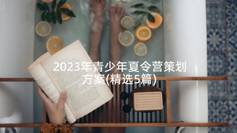 2023年青少年夏令营策划方案(精选5篇)