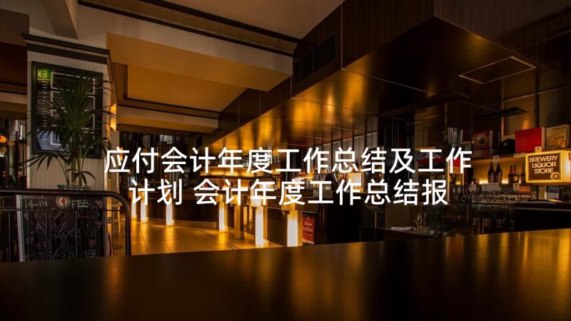 应付会计年度工作总结及工作计划 会计年度工作总结报告(大全5篇)