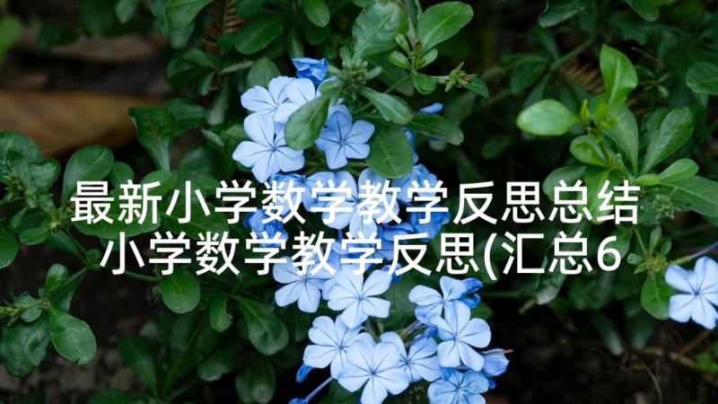 最新小学数学教学反思总结 小学数学教学反思(汇总6篇)