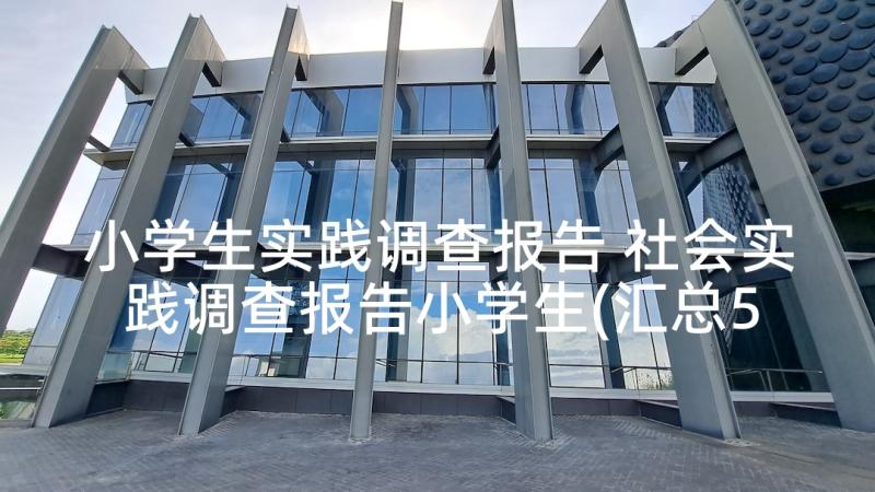 小学生实践调查报告 社会实践调查报告小学生(汇总5篇)