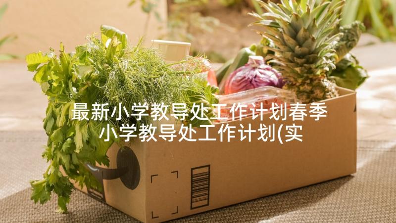 最新小学教导处工作计划春季 小学教导处工作计划(实用7篇)