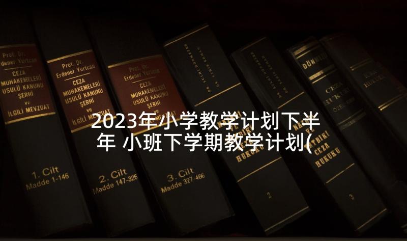 2023年小学教学计划下半年 小班下学期教学计划(实用9篇)
