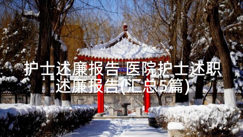 护士述廉报告 医院护士述职述廉报告(汇总5篇)