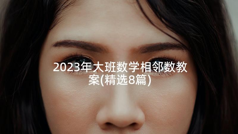 2023年大班数学相邻数教案(精选8篇)