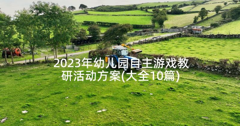 2023年幼儿园自主游戏教研活动方案(大全10篇)