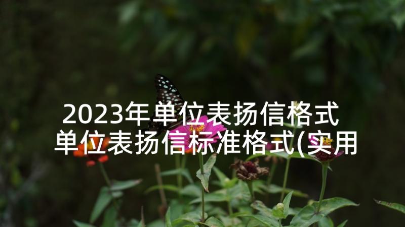 2023年单位表扬信格式 单位表扬信标准格式(实用5篇)