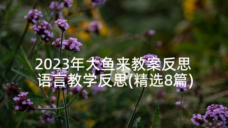 2023年大鱼来教案反思 语言教学反思(精选8篇)