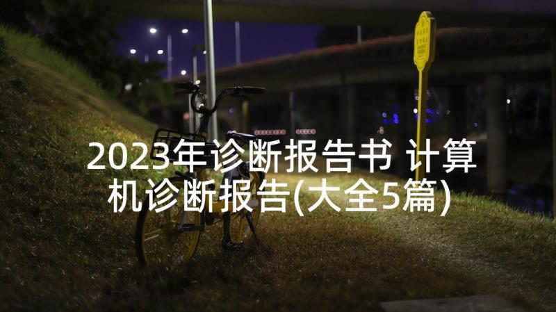 2023年诊断报告书 计算机诊断报告(大全5篇)