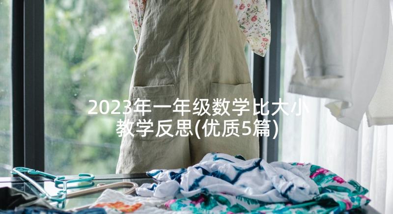 2023年一年级数学比大小教学反思(优质5篇)