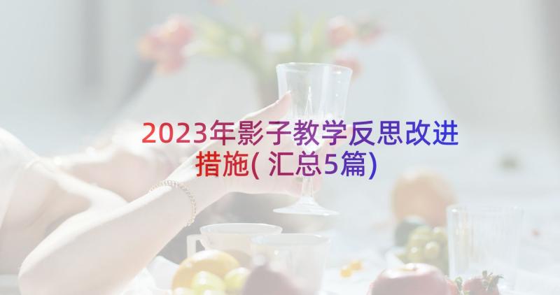 2023年影子教学反思改进措施(汇总5篇)