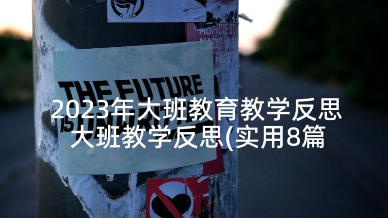 2023年大班教育教学反思 大班教学反思(实用8篇)