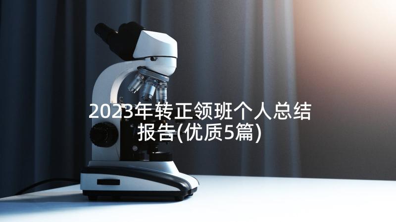 2023年转正领班个人总结报告(优质5篇)