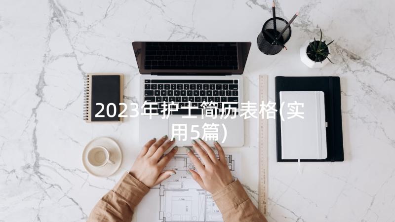 2023年护士简历表格(实用5篇)