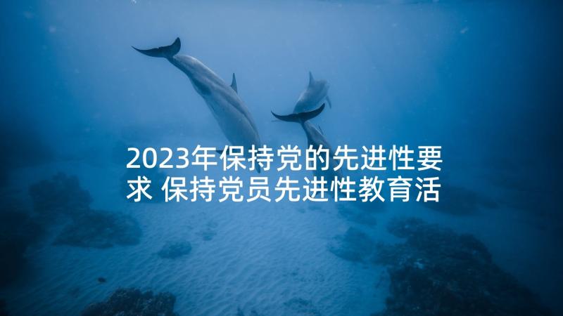 2023年保持党的先进性要求 保持党员先进性教育活动工作全阶段总结(模板5篇)