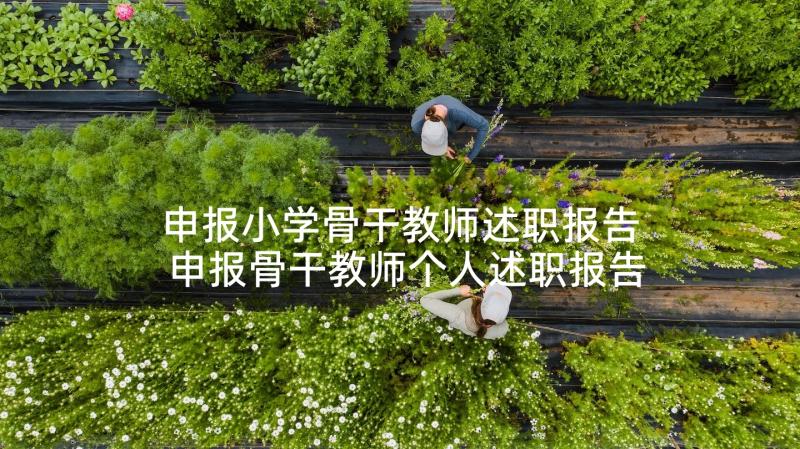 申报小学骨干教师述职报告 申报骨干教师个人述职报告(大全7篇)