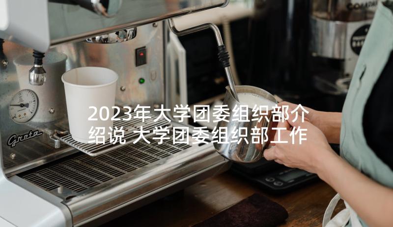 2023年大学团委组织部介绍说 大学团委组织部工作计划(大全6篇)