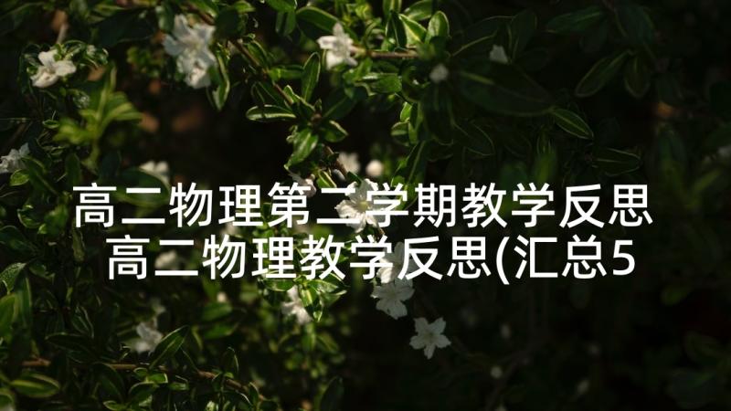 高二物理第二学期教学反思 高二物理教学反思(汇总5篇)