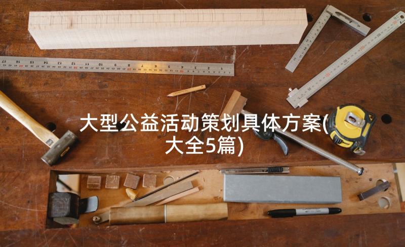 大型公益活动策划具体方案(大全5篇)