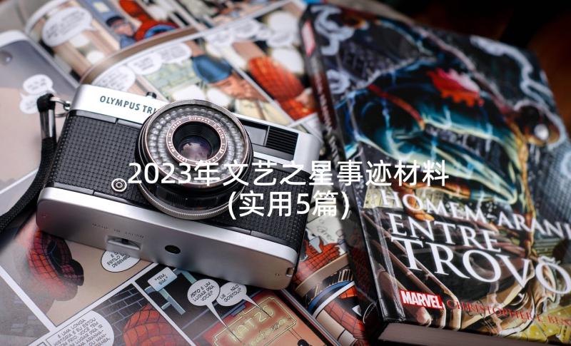 2023年文艺之星事迹材料(实用5篇)