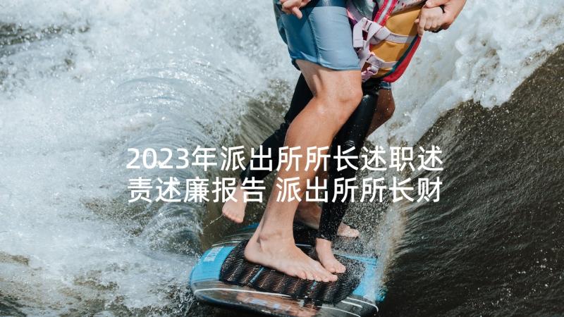 2023年派出所所长述职述责述廉报告 派出所所长财务述职报告(汇总5篇)