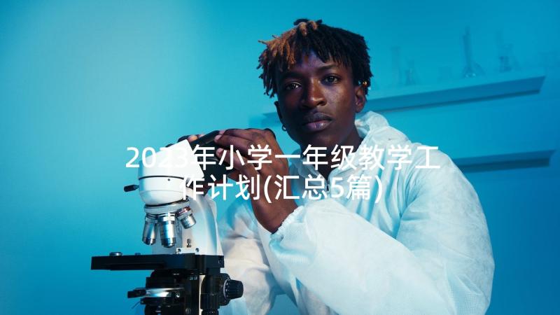 2023年小学一年级教学工作计划(汇总5篇)