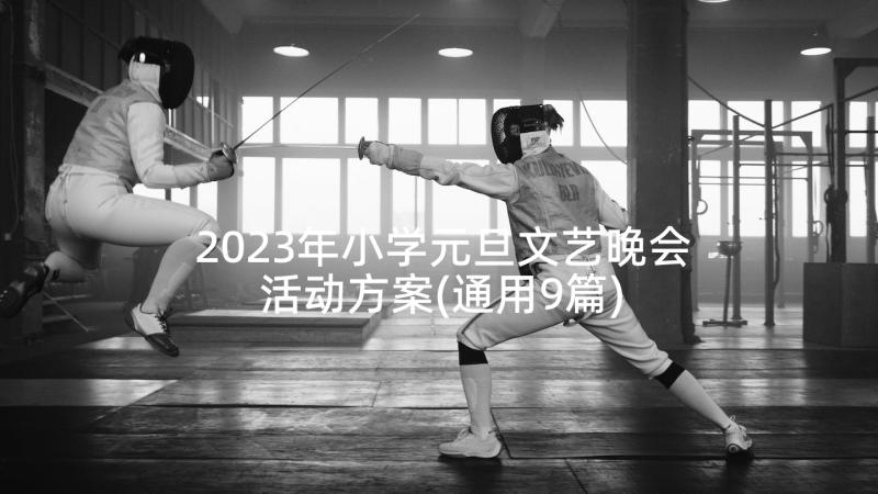 2023年小学元旦文艺晚会活动方案(通用9篇)