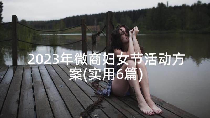 2023年微商妇女节活动方案(实用6篇)