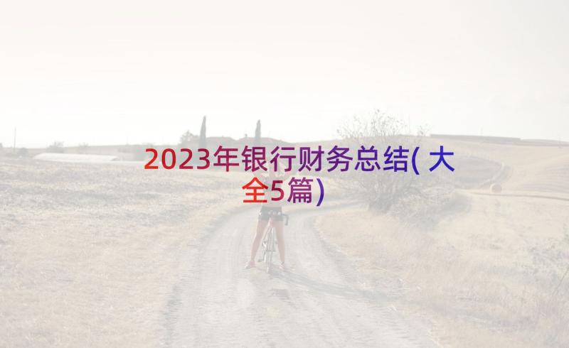 2023年银行财务总结(大全5篇)