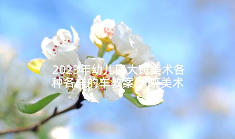 2023年幼儿园大班美术各种各样的车教案 大班美术教案及教学反思(汇总9篇)