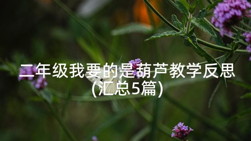 二年级我要的是葫芦教学反思(汇总5篇)