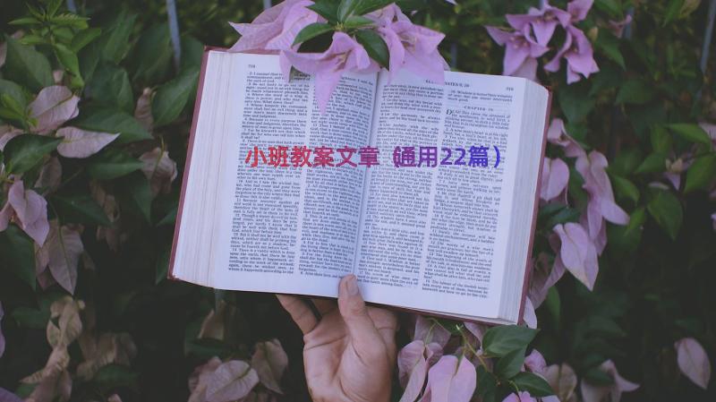 小班教案文章（通用22篇）