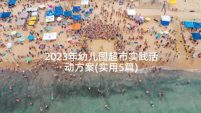 2023年幼儿园超市实践活动方案(实用5篇)