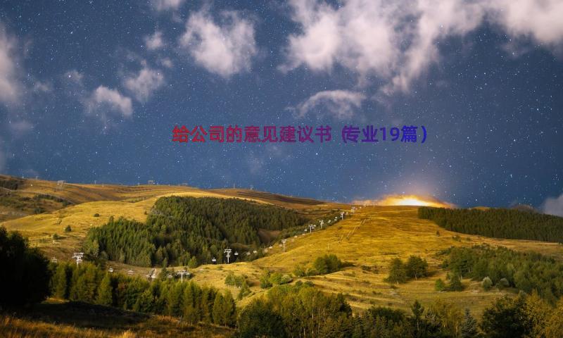 给公司的意见建议书（专业19篇）