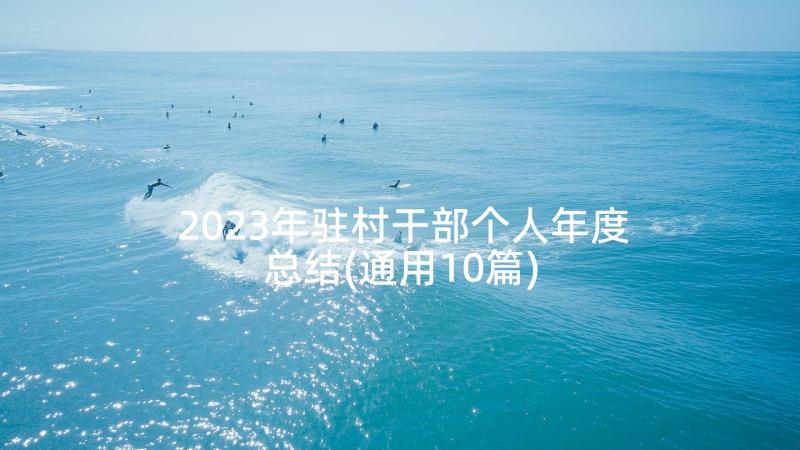 2023年驻村干部个人年度总结(通用10篇)