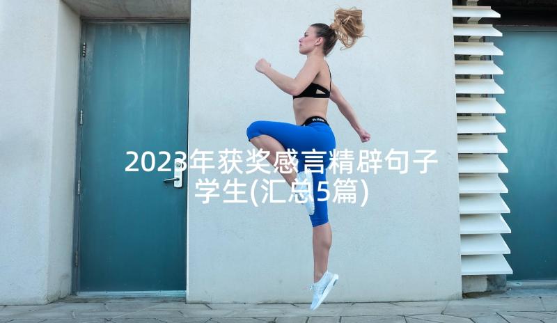 2023年获奖感言精辟句子学生(汇总5篇)