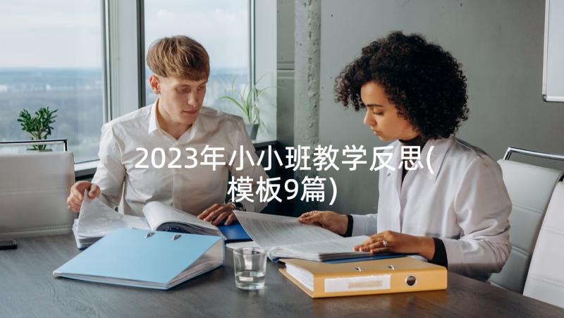 2023年小小班教学反思(模板9篇)